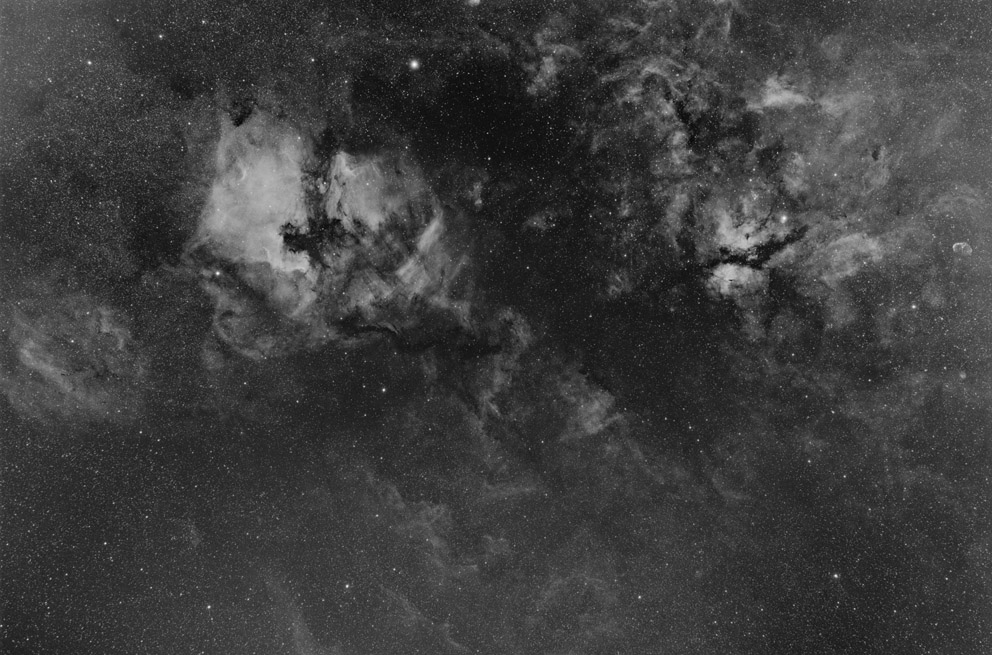 Schwan in H-alpha NGC 7000