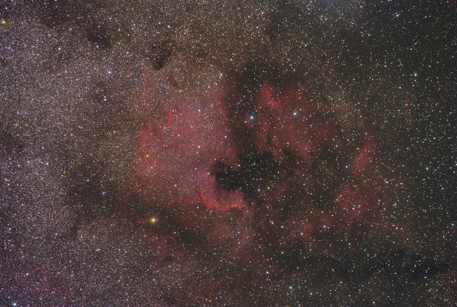 Nordamerika- und Pelikannebel - Widefield NGC 7000, IC 5070