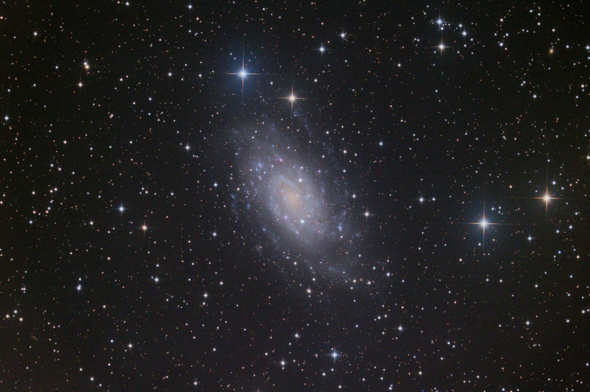 NGC2403 NGC 2403