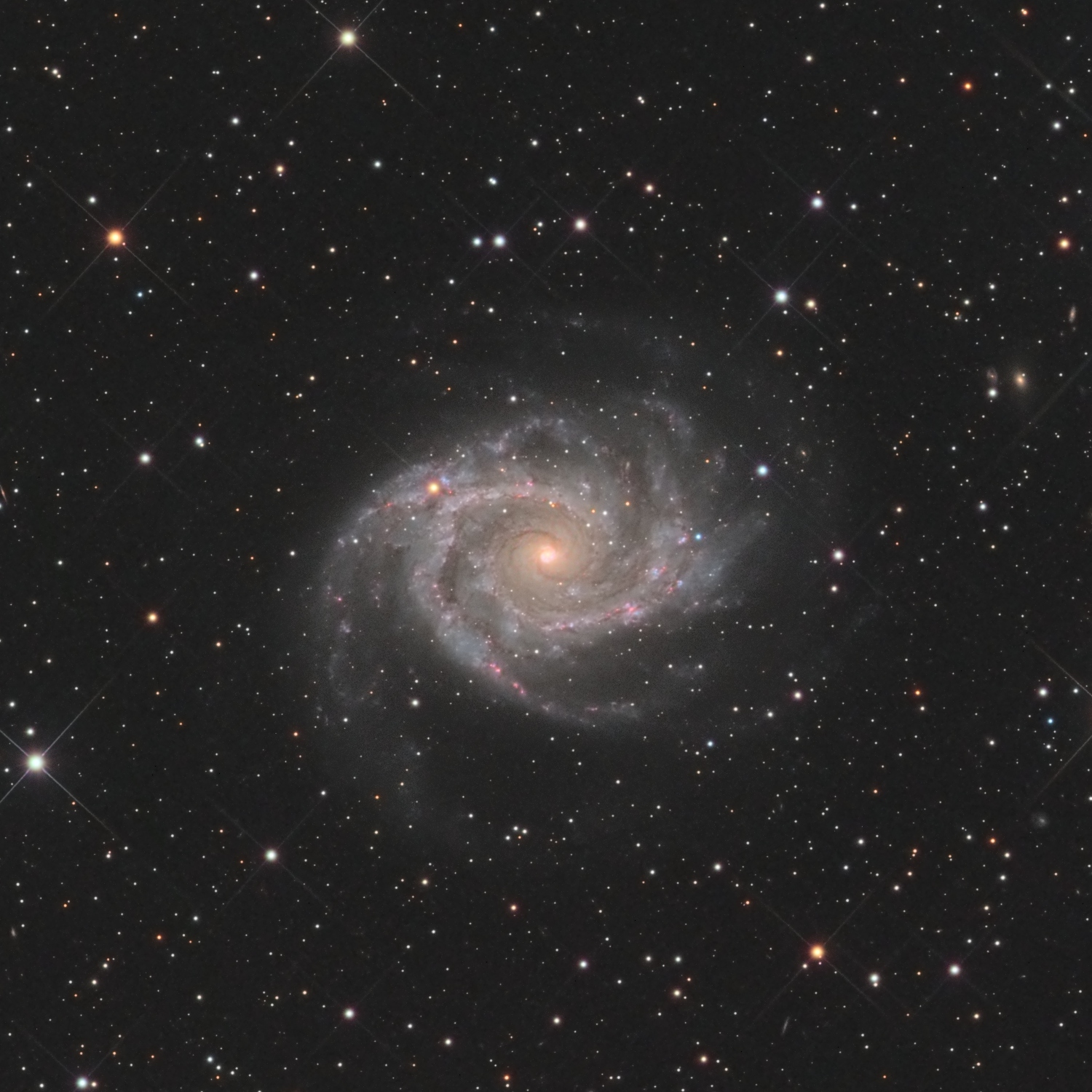 NGC 2997 NGC 2997