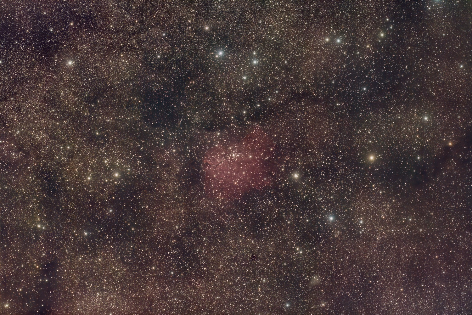 NGC 6823 unter Stadthimmel NGC 6823