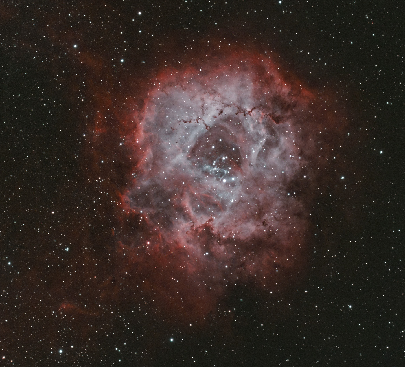 Rosettennebel  5+6.2.2024 NGC 2244