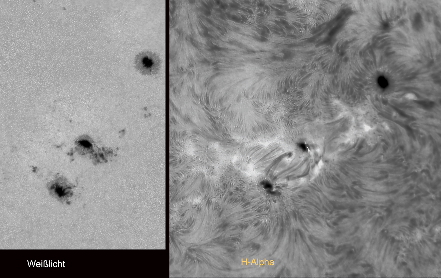 Sonnenflecken am 27.4.2024 in Weißlicht und H-Alpha 