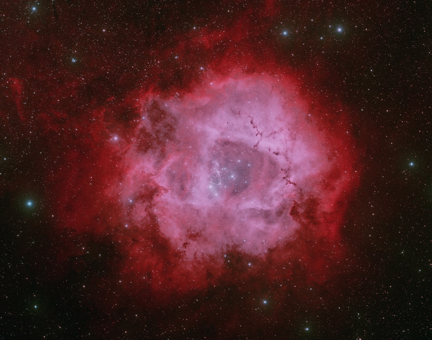 Rosetten-Nebel in H_Alpha/ OIII NGC 2244, NGC 2239, NGC 2238