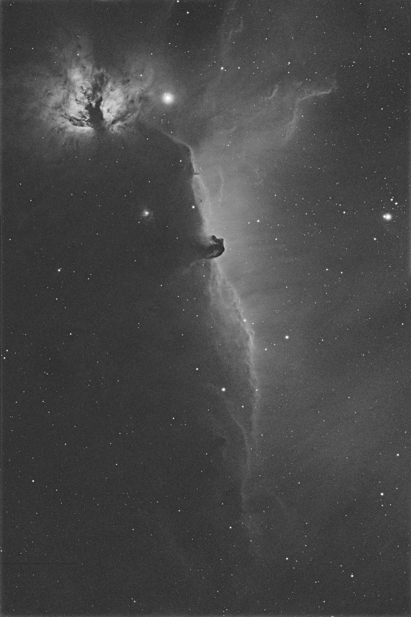 Pferdekopfnebel IC 443