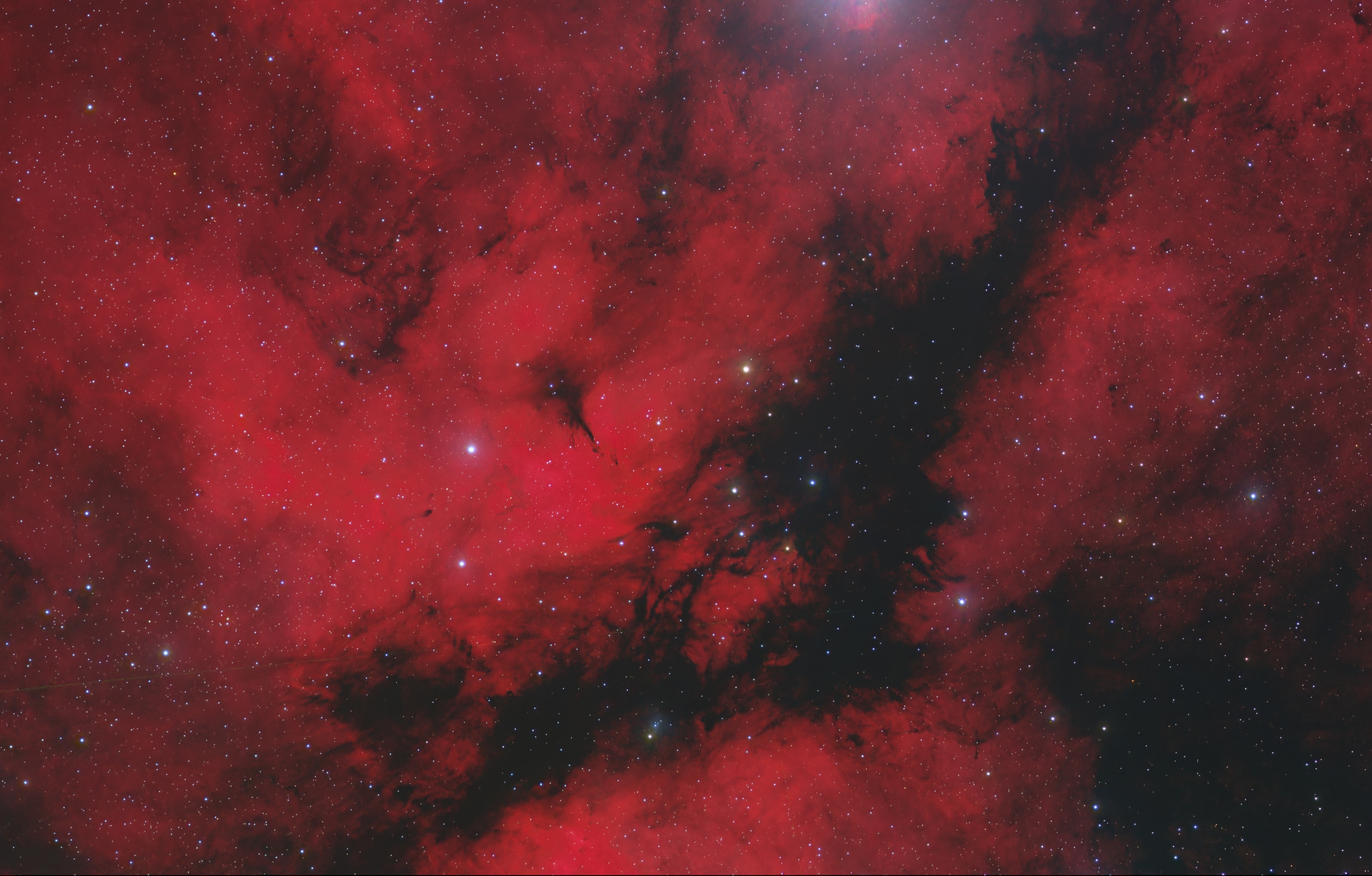 IC1396 ( Foraxx-Version von H +OIII) IC 1396