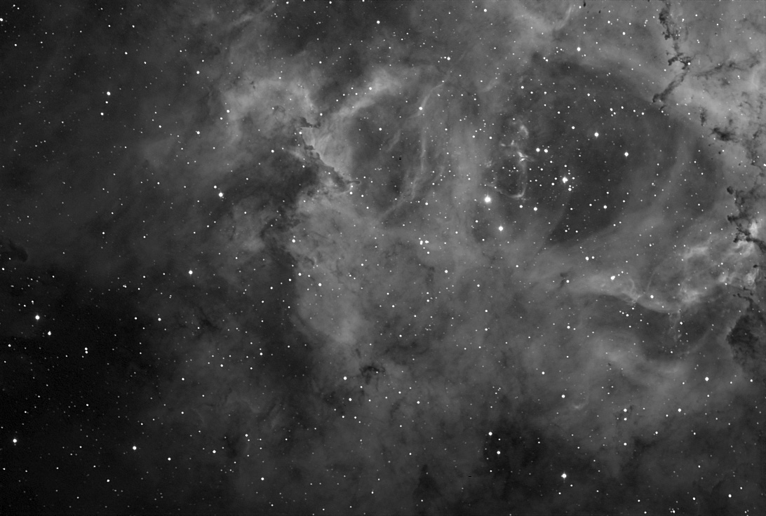 NGC 2244 Ausschnitt Rosettennebel NGC 2244