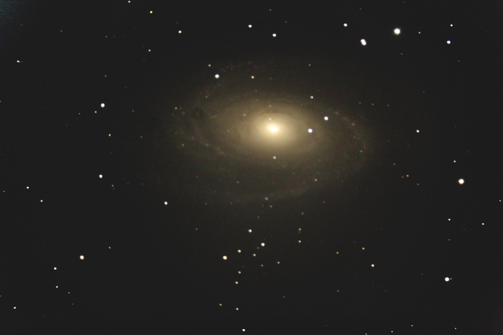 M81 - Spiralgalaxie im großen Wagen M 81