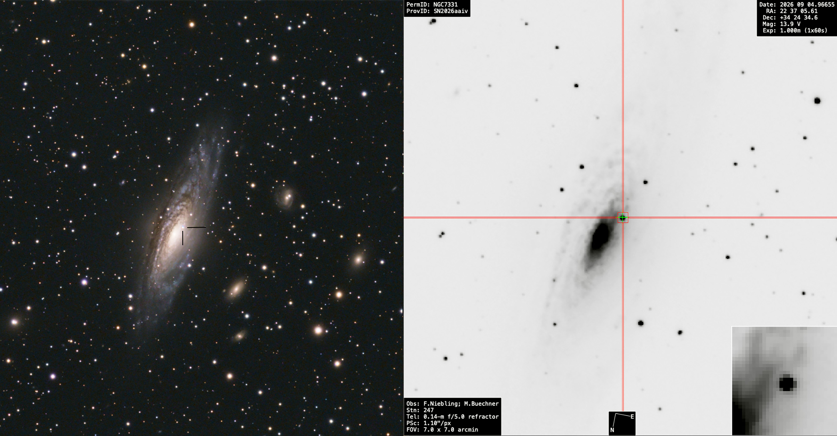 Supernovae SN2026aaiv in NGC 7331 NGC 7331