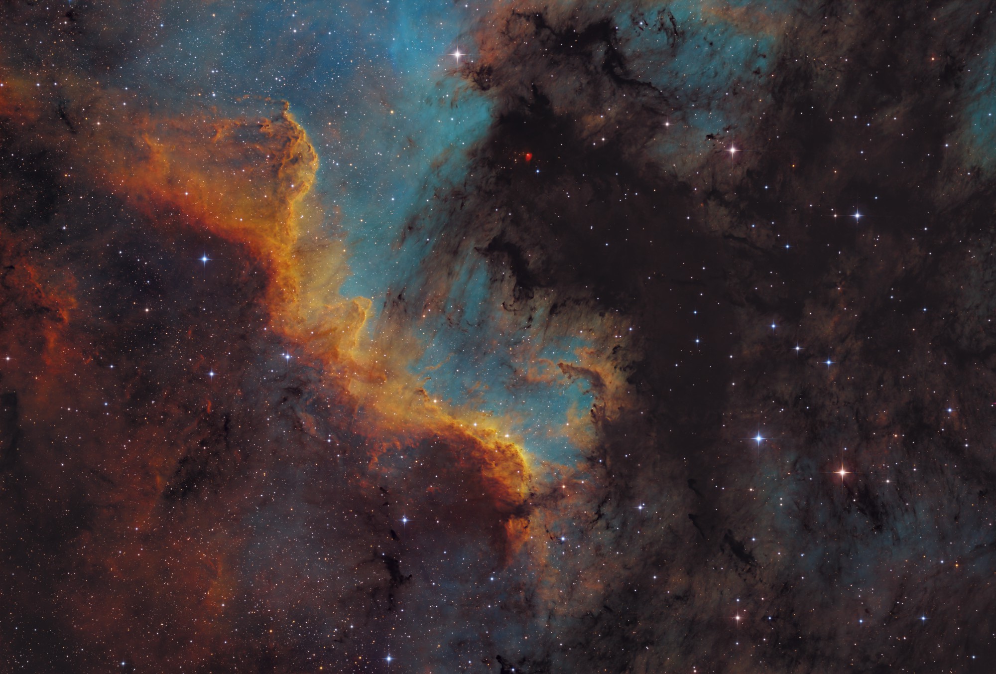NGC 7000 - The Wall NGC 7000