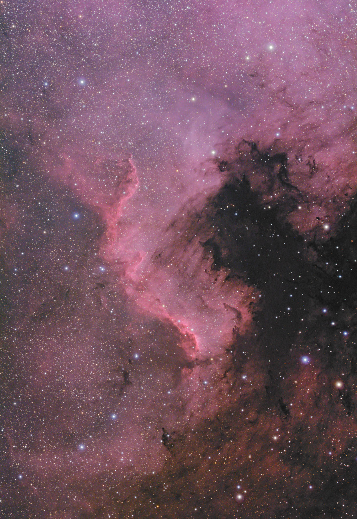 NGC 7000 NGC 7000