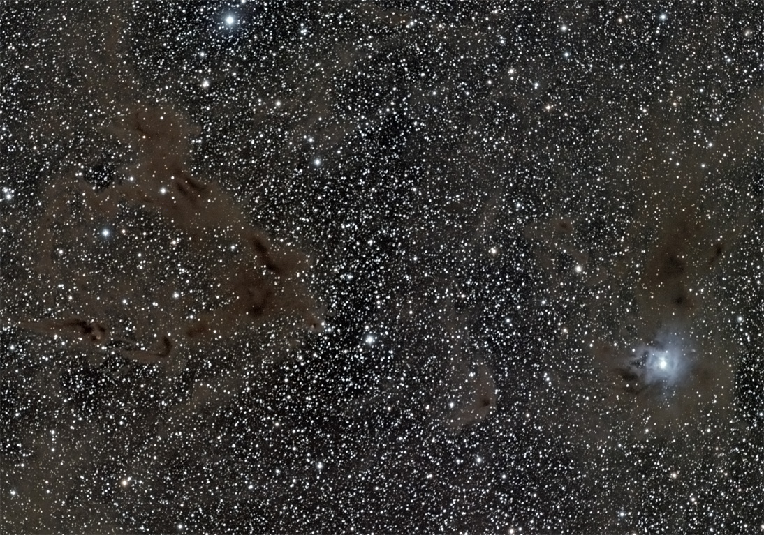 NGC 7023 mit unmittelbarer Umgebung NGC 7023