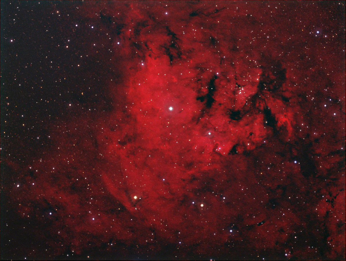 NGC 7822 in Farbe NGC 7822