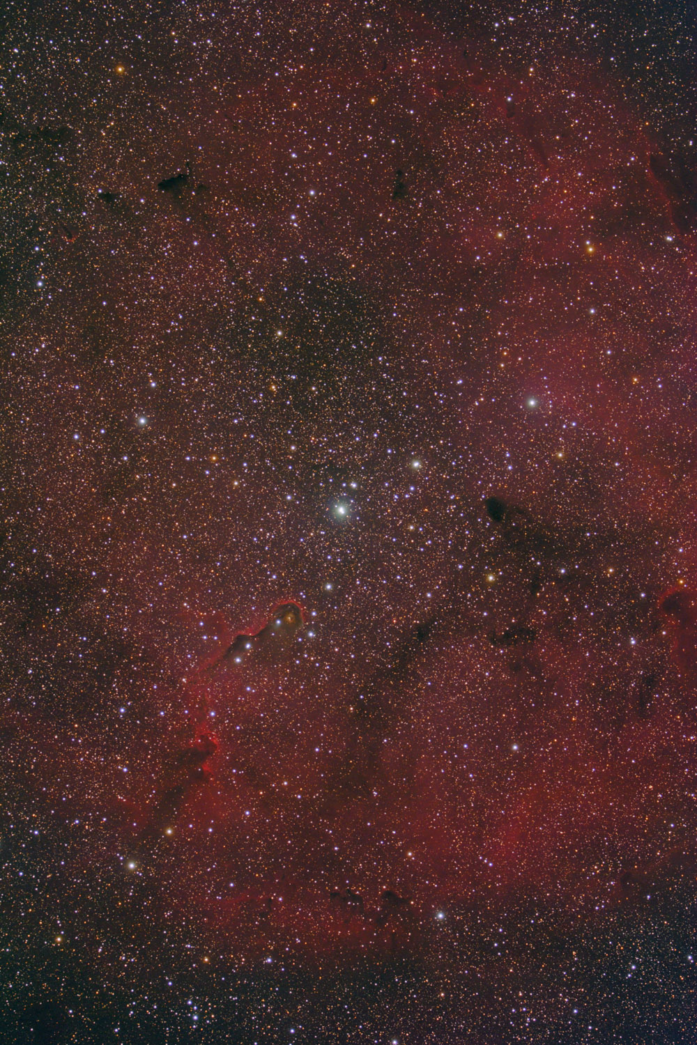 IC1396 - Elefantenrï¿½ssel IC 1396