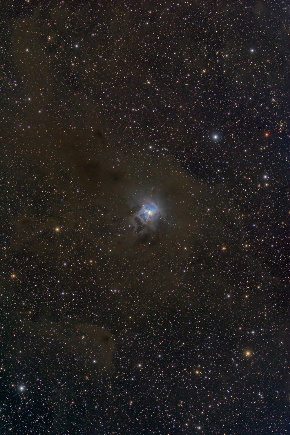 NGC7023 - Irisnebel NGC 7023