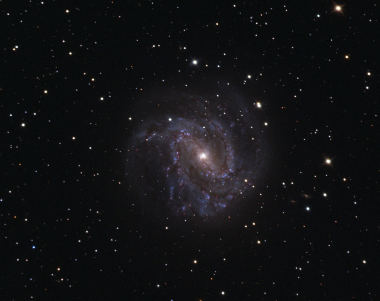 M83 M 83