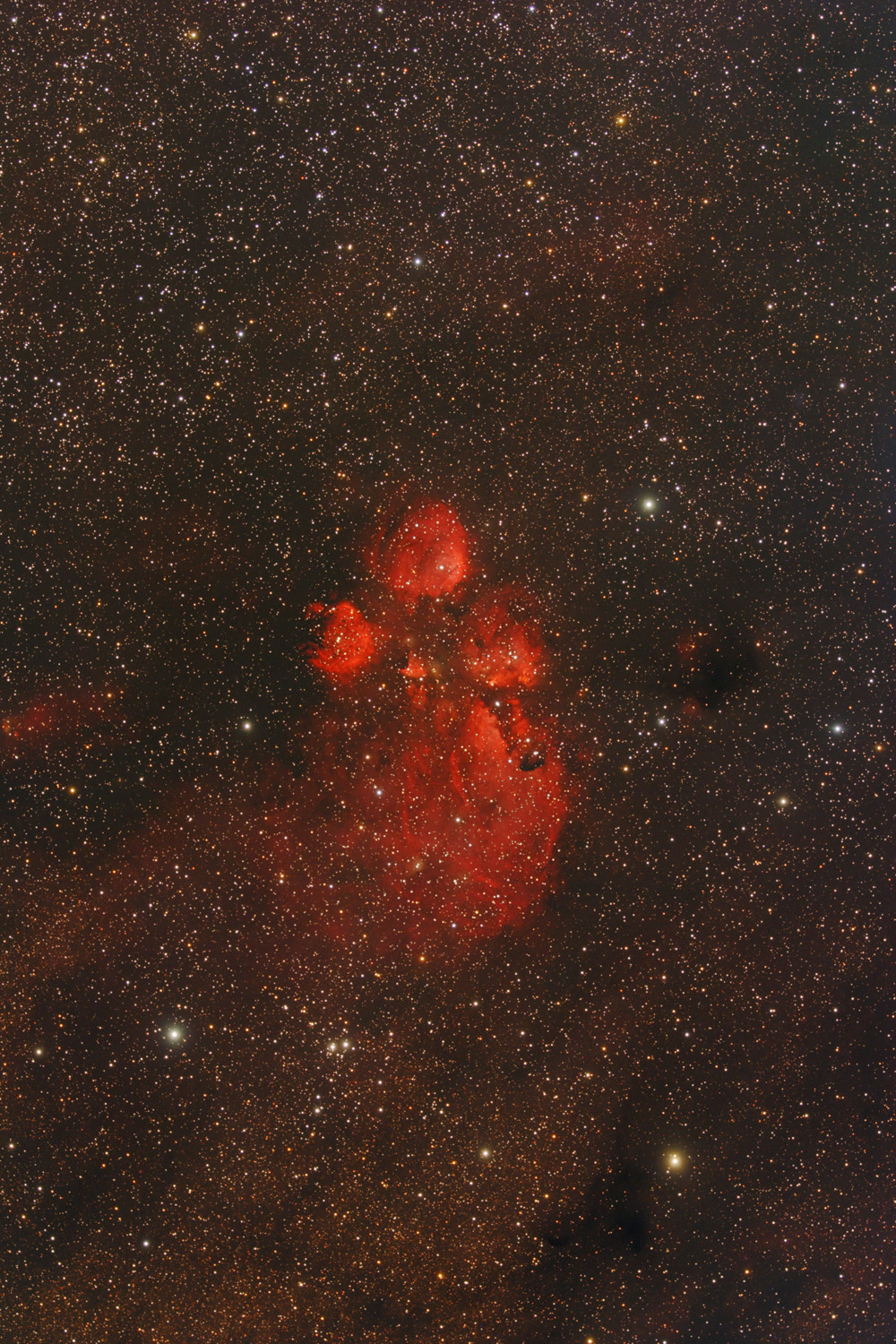 NGC 6334 - Katzenpfotennebel NGC 6334