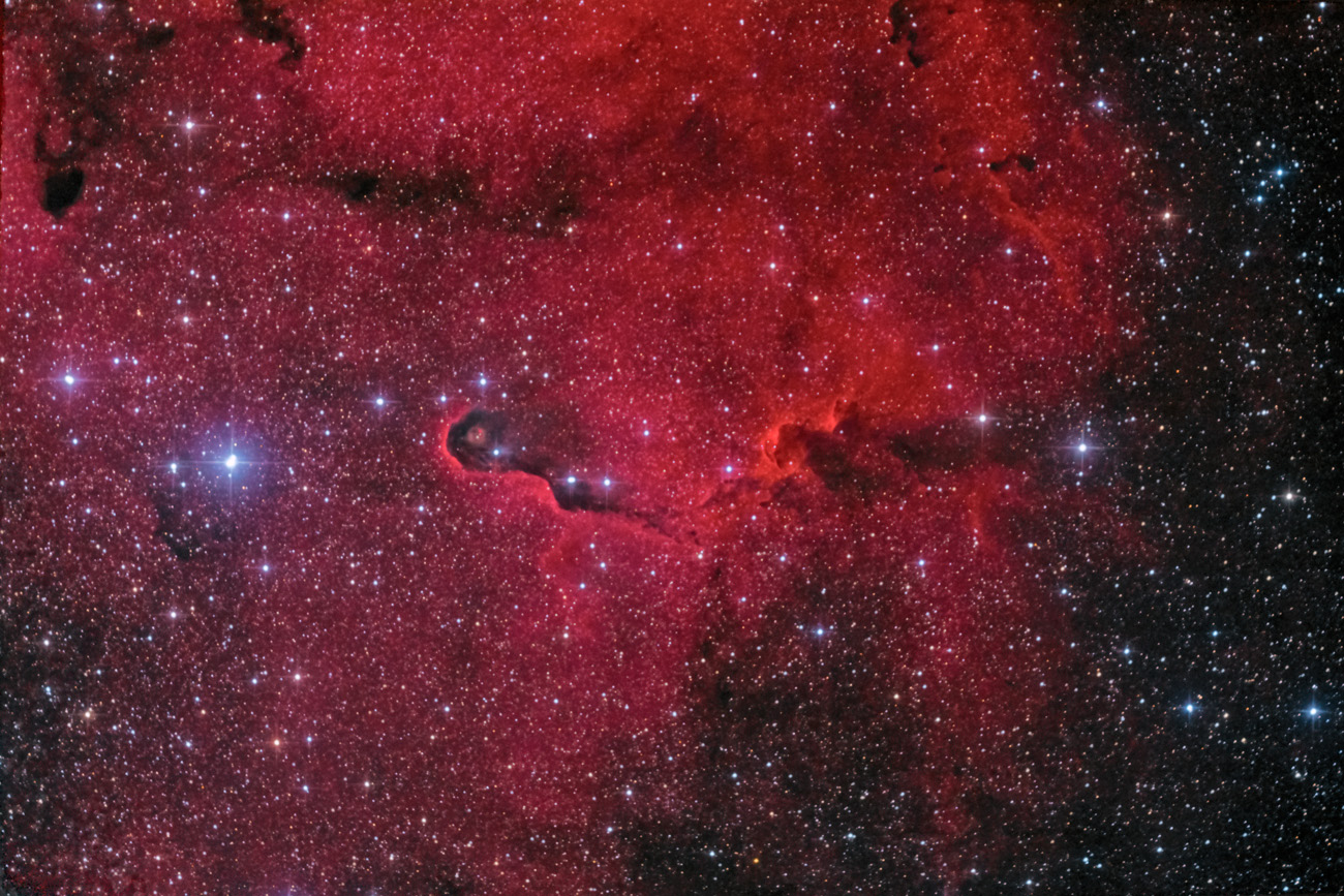 IC1396A - der Elefantenrüssel IC 1396A, vdB 142