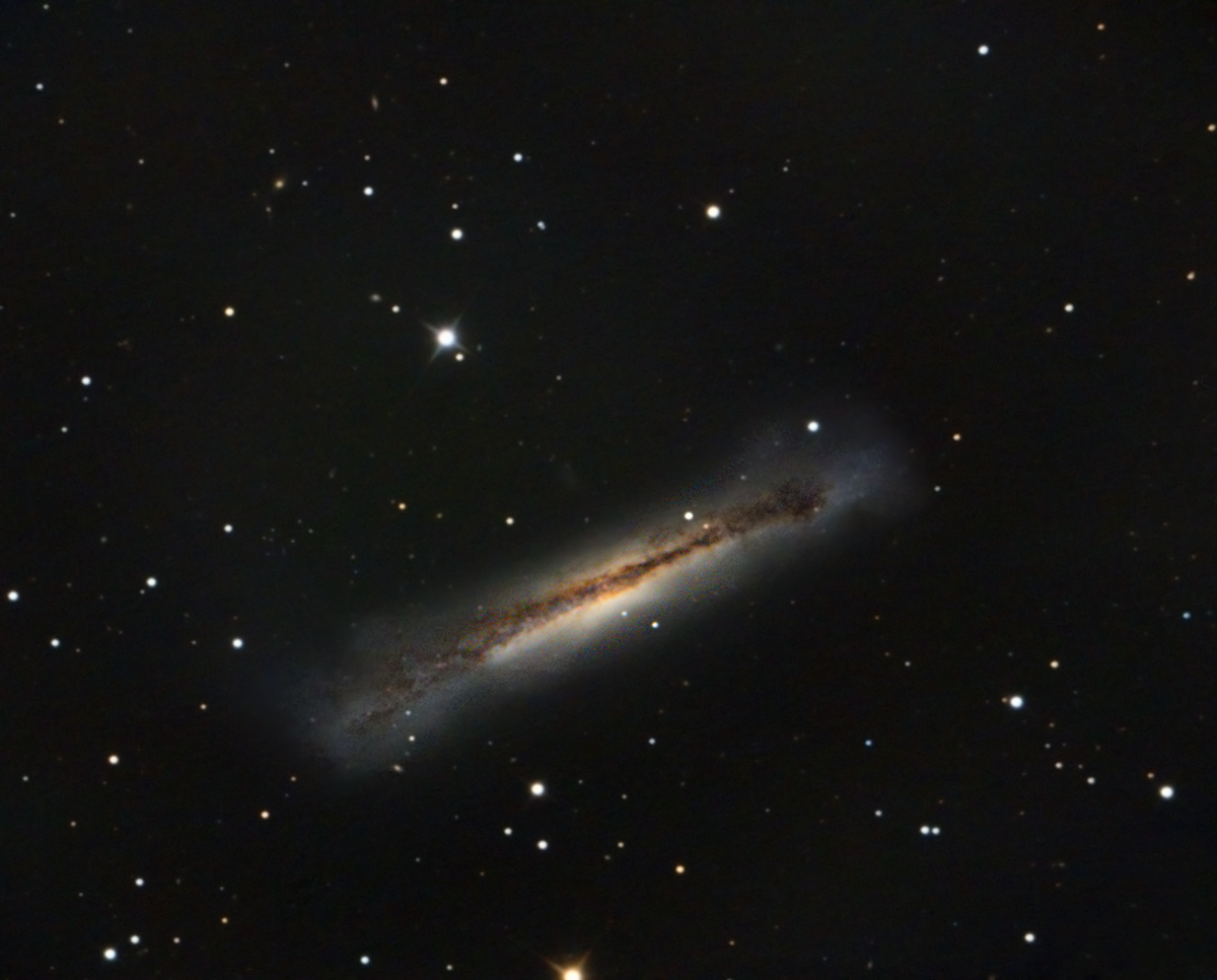 NGC3628 im LEO-Triplett NGC 3628
