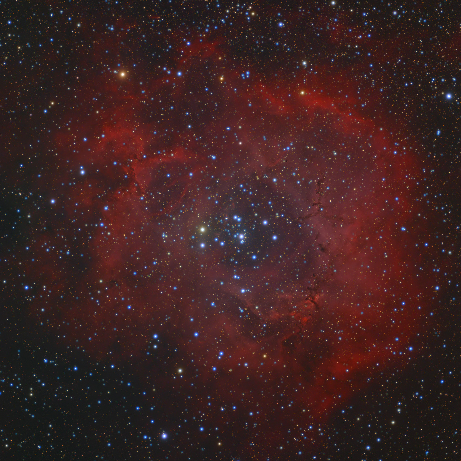 NGC 2244 - Rosettennebel NGC 2244