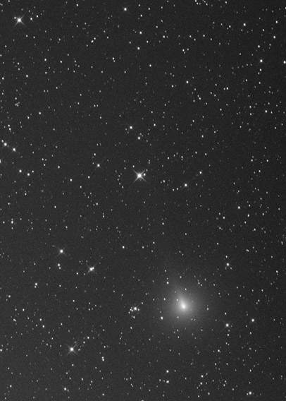 Komet Atlas 2019 Y4 vom 31.3.2020 - animiert 