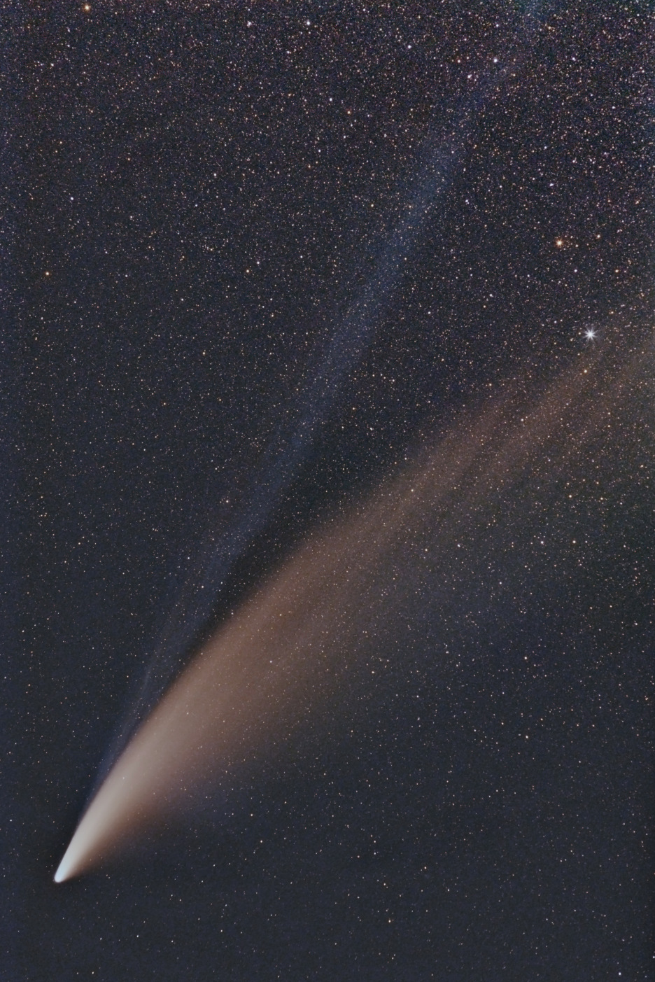Komet NEOWISE C2020 F3 am 10.7.2020 