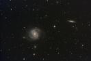 Messier 100 + Nachbargalaxien