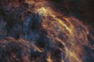 W63 - Cygnus Shell - in Foraxx Palette