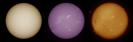 Gesamtsonne 29.6.2026 WL- Ca- Halpha