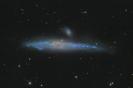 NGC 4631 - Walgalaxie