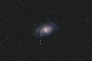Galaxie im Dreieck - M33