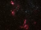 NGC 2004/2020/2032/2035/2040/1955/1968/1974 - Objekte in der LMC (Large Magellanic Cloud)
