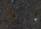 NGC 7023 mit unmittelbarer Umgebung