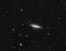 M82 mit Supernova SN 2014J