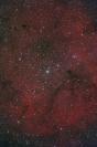 IC1396 - Elefantenrï¿½ssel