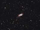 NGC 6302- Bug Nebula
