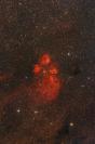 NGC 6334 - Katzenpfotennebel