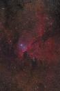 NGC 6188 - Emmisionsnebel im Sternbild Altar