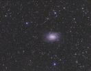 NGC 6744 im Pfau